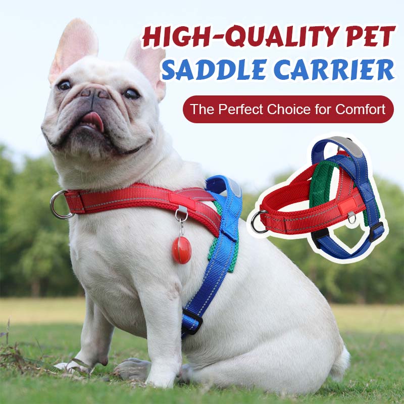 Comfort Harness for Dogs – Easy Wear and Unrestricted Freedom