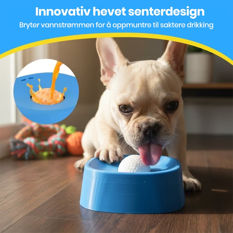 Calm Drinking Solution for Stress-Free Digestion and Happy Dogs