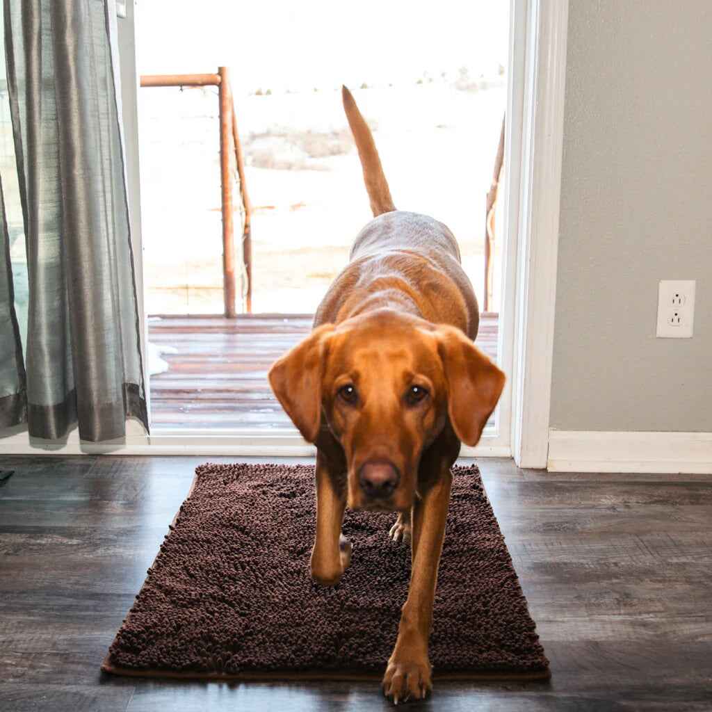 Buy One, Get One Free | PawGuard Floor Mat – Keep Your Home Clean