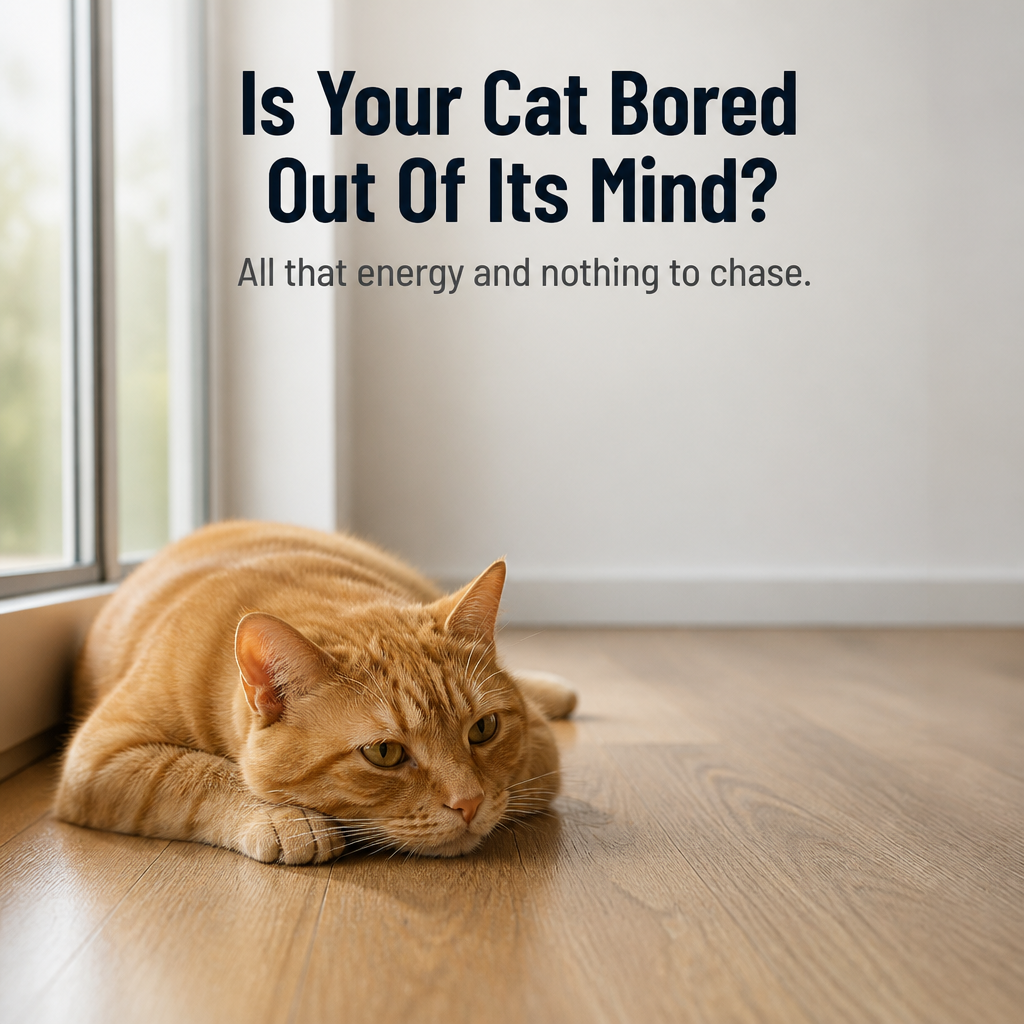 WhiskerTwist™ — Unleash Your Cat’s Wild Hunting Instincts with Endless, Hands-Free Fun