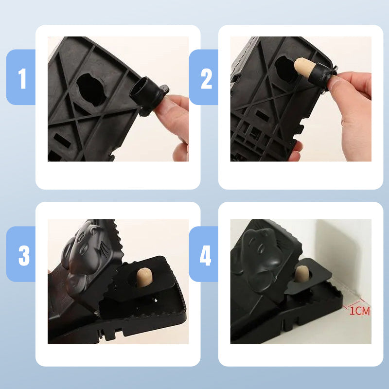 Rodent Control Solution for a Safe and Clean Home