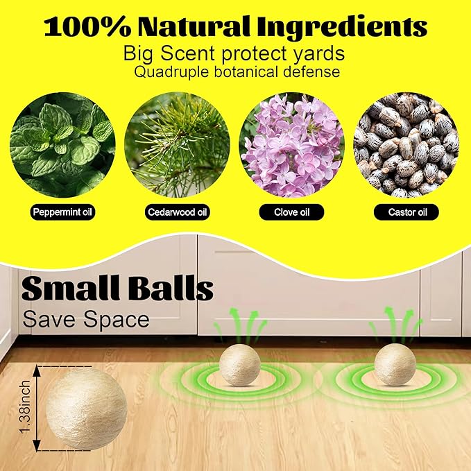 Natural Rodent Protection for a Pest-Free and Worry-Free Home