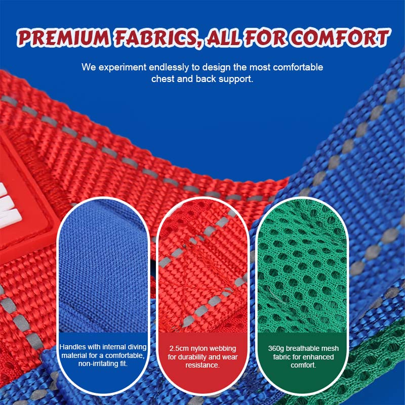 Comfort Harness for Dogs – Easy Wear and Unrestricted Freedom