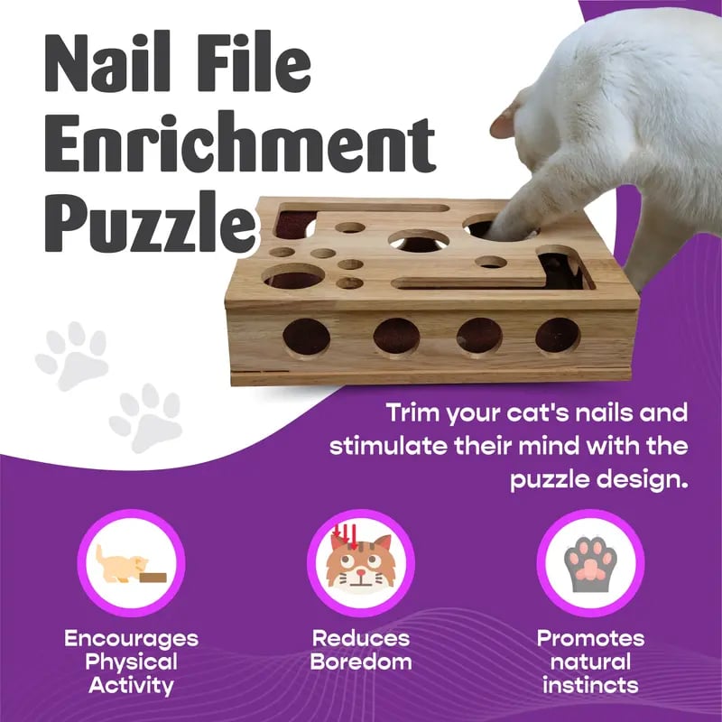 Stress-Free Nail Care for Cats - Fun Grooming Experience