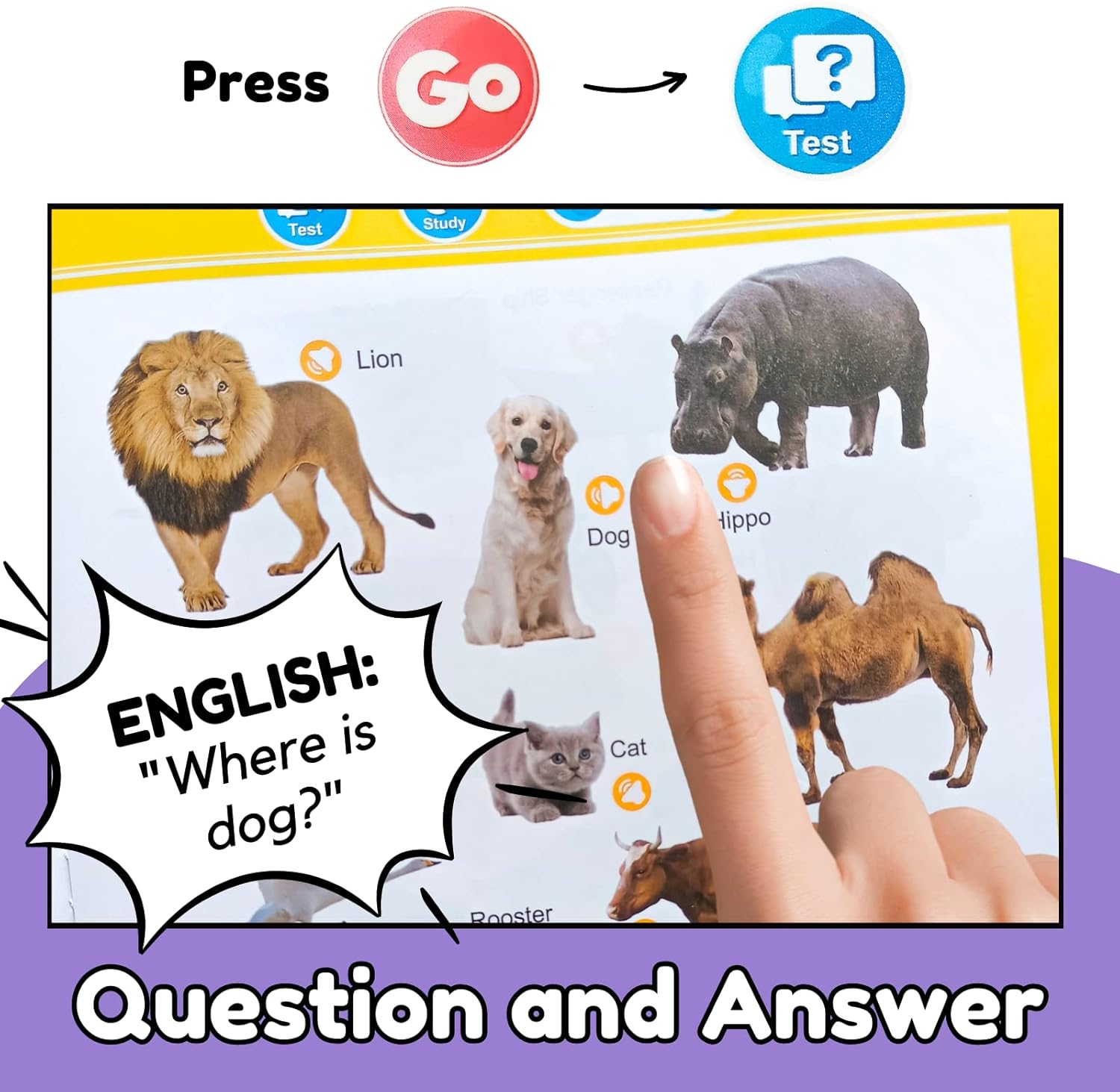 Boost Your Toddler's Confidence with Masterful English Skills