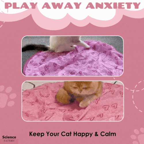 PurrQuest™ — Ignite Your Cat’s Wild Instincts for Endless Thrills and Energy