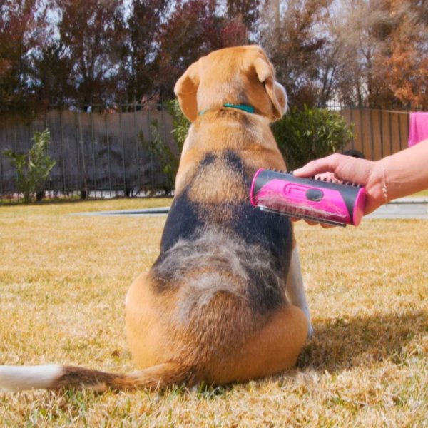 FurLuxe™ — Turn Grooming Into a Soothing Spa That Leaves Your Pet Calm, Shiny, and Shedding-Free