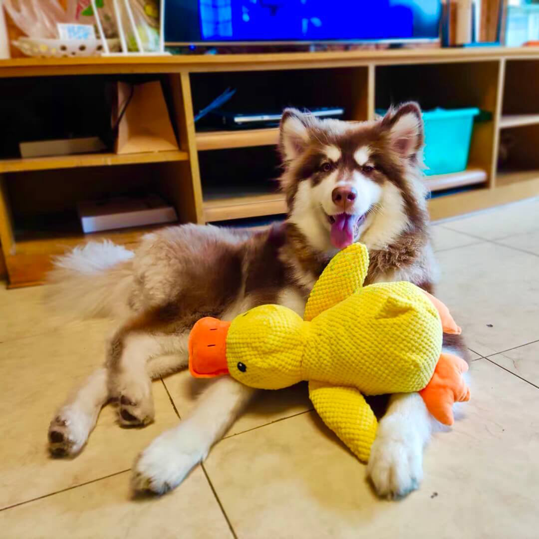 Soft Calming Dog Toy for Comfort and Mental Stimulation