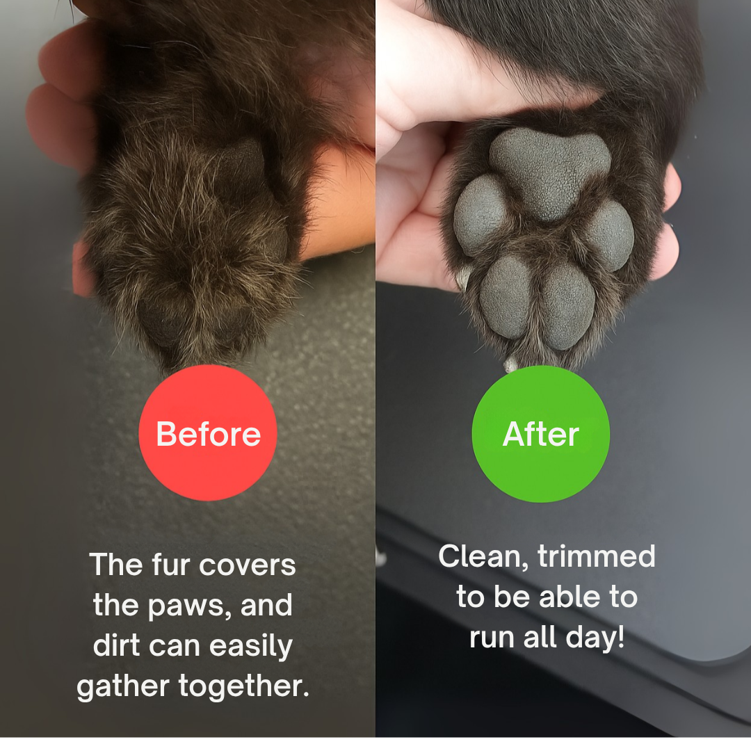 VelvetPaw™ — Effortless Trims for Calm, Confident Pets Every Time