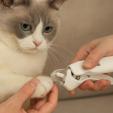 Gentle 2-in-1 Pet Nail Clipper and Grinder