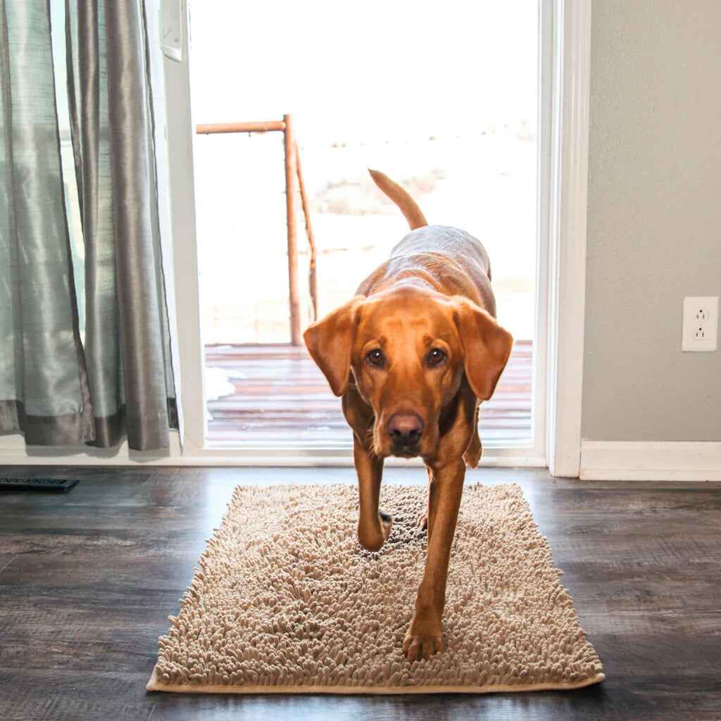Buy One, Get One Free | PawGuard Floor Mat – Keep Your Home Clean