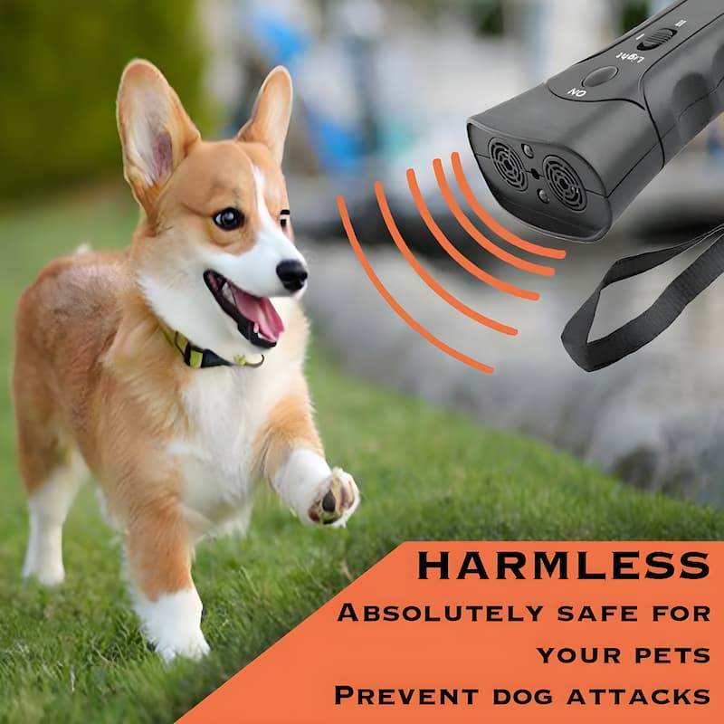 Ultrasound Training Aid for Dogs and Cats – Pain-Free Solution
