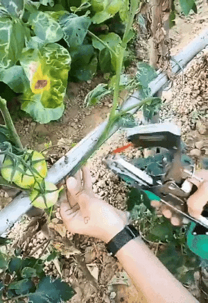Plant Ties for Gardening Tasks