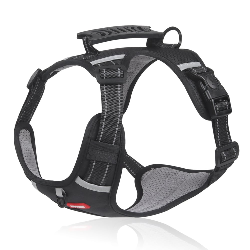 PawEase Harness - Enjoy Relaxed Walks Without Pulling and Maximum Comfort