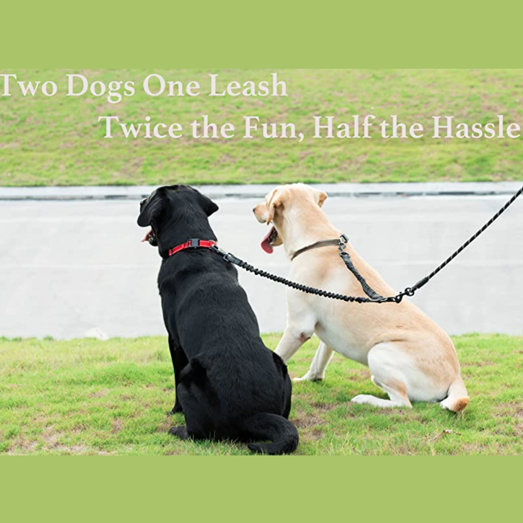 VersaTether™ — Effortless, Tangle-Free Control for Happier, Calmer Walks with Two Dogs