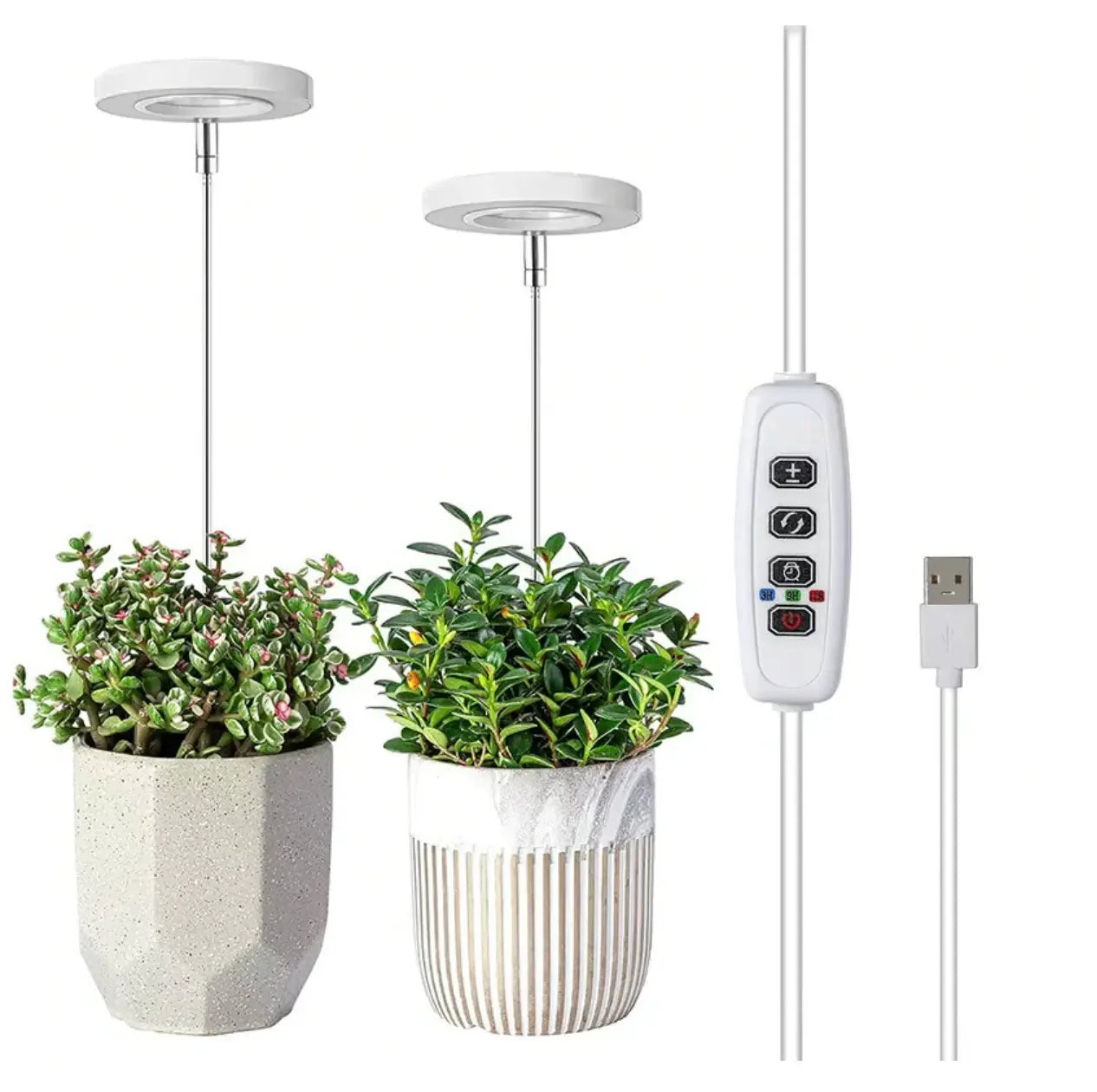 Plant Lamp | Full Spectrum Growing Light | Timer and Brightness Control | PlantGlow