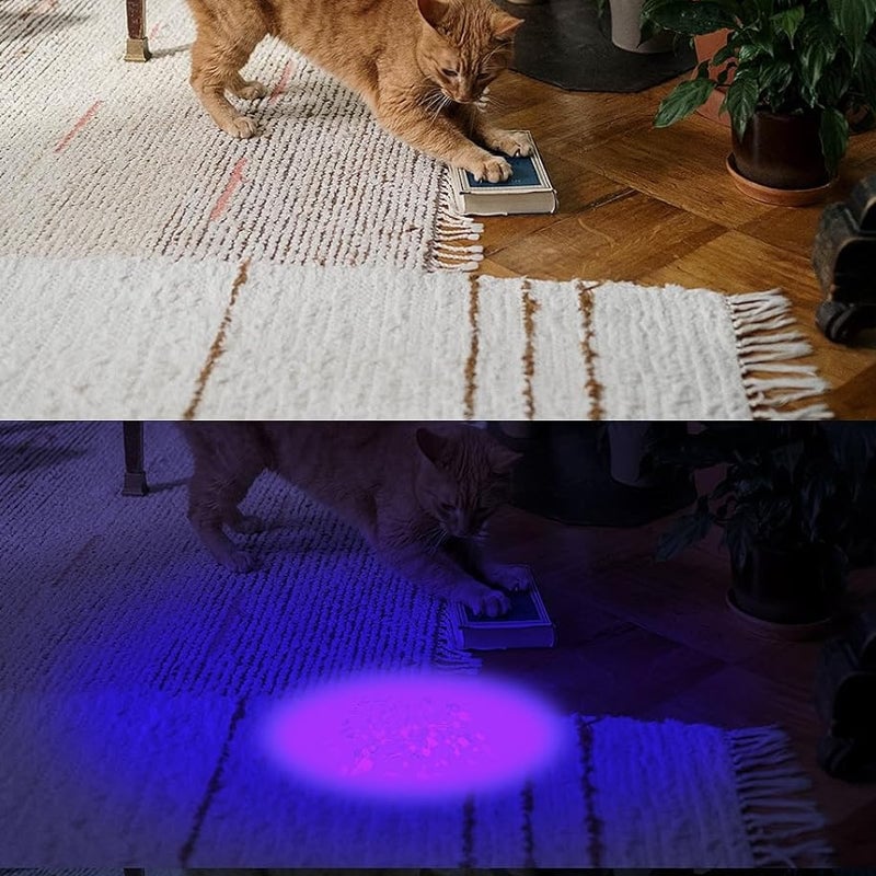 Discover Hidden Details with Brilliant UV Light