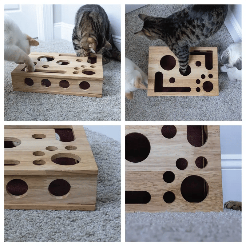 Cat Scratch Puzzle Activity Box