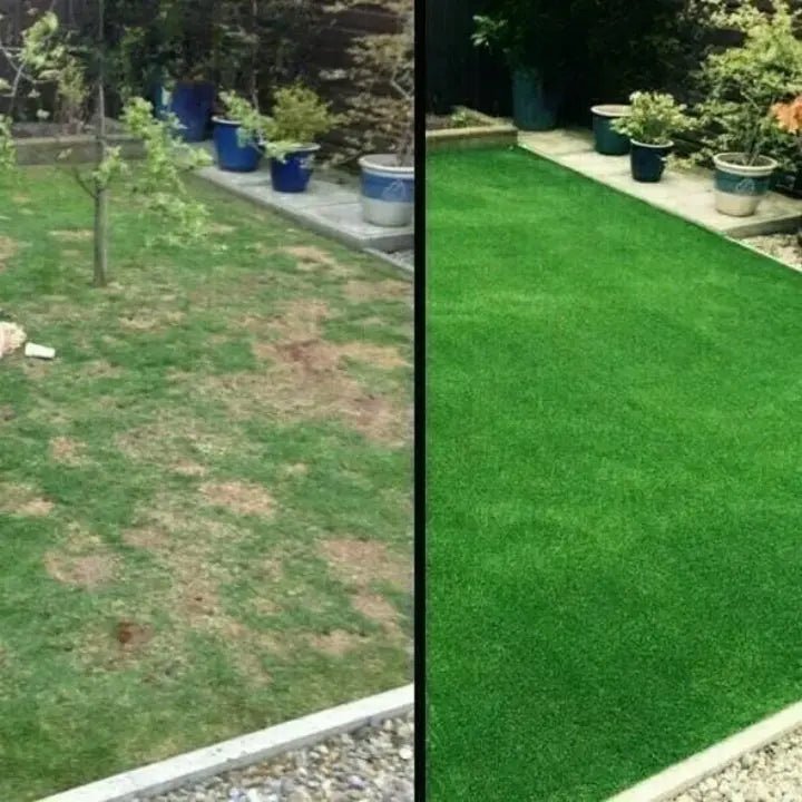 Lawn Mat | Fast Lawn Renewal | Substitute for Turf Rolls | TerraSprout