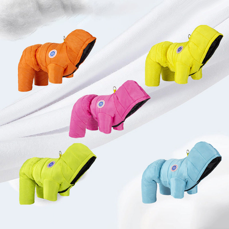 Transform Cold Winter Days into Cozy Comfort Moments for Your Dog