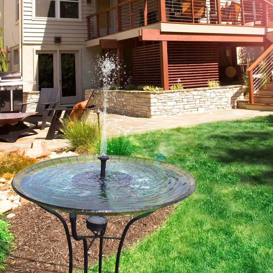 Transform Your Garden into a Lively Oasis of Freshness and Serenity