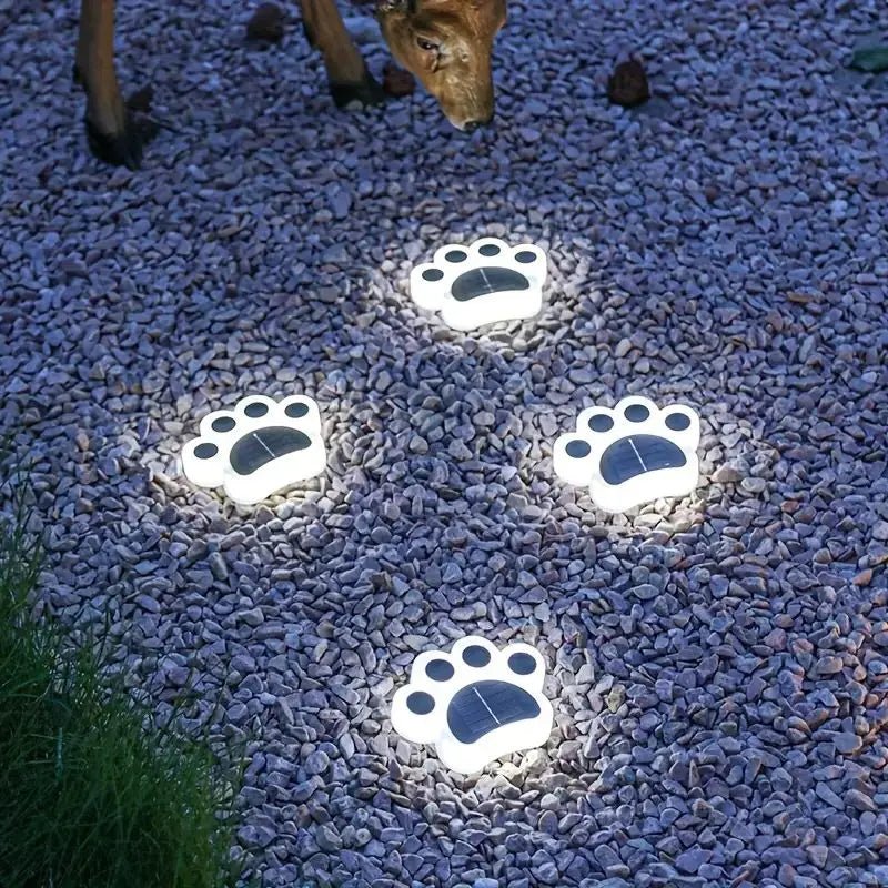 Transform Your Garden into a Radiant Oasis Every Night