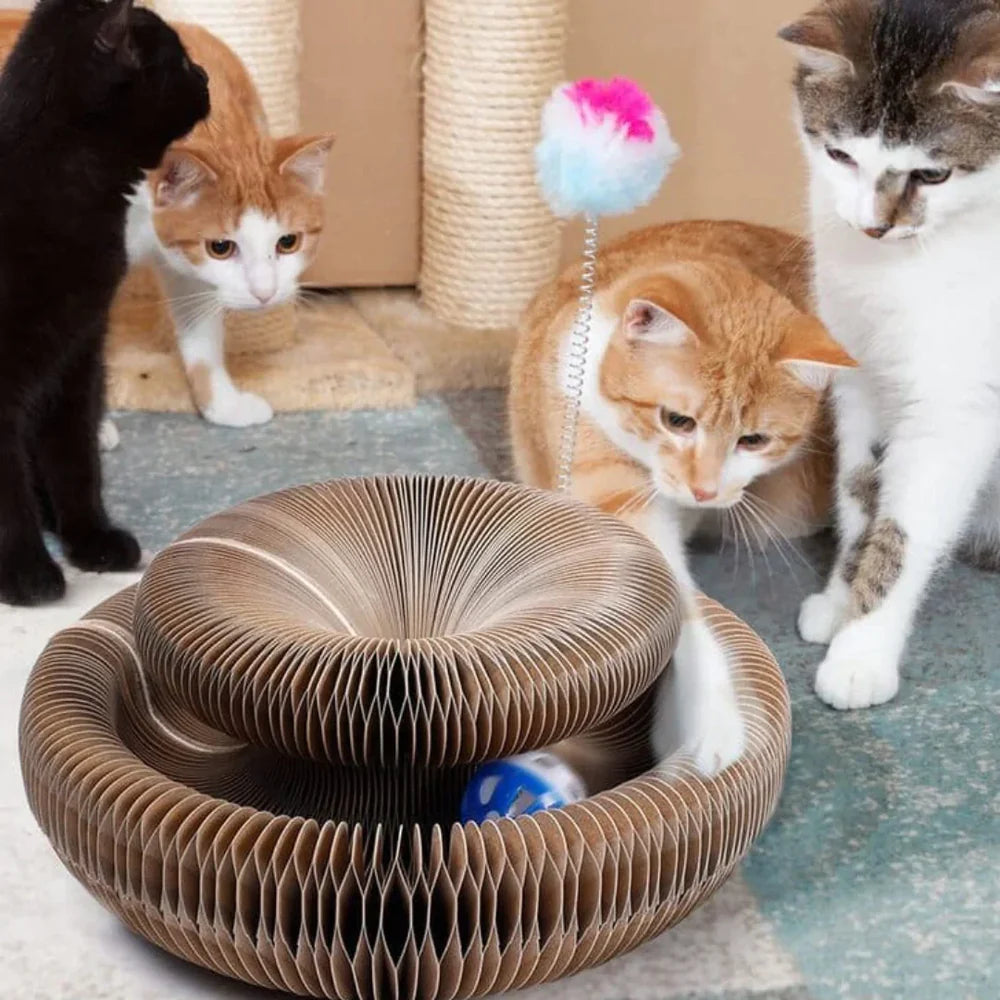 FunCat™ - An interactive toy for cats