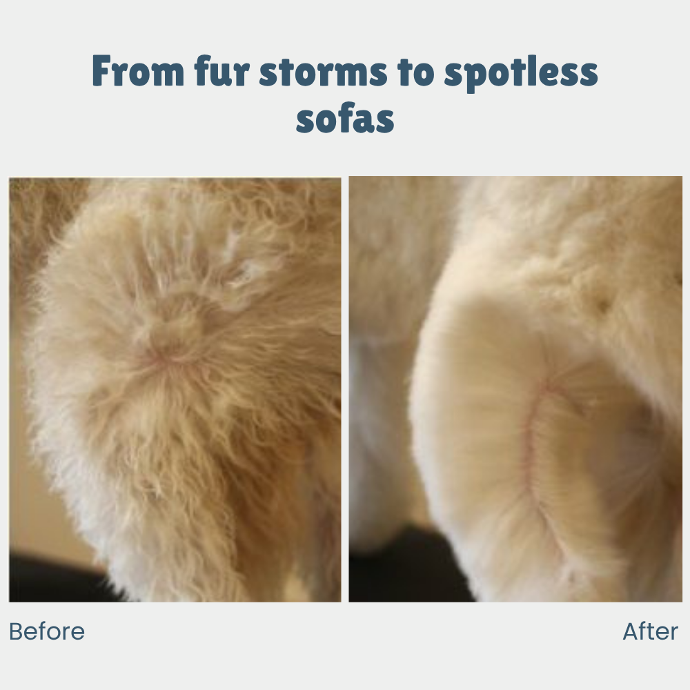 SteamSleek™ — End Shedding Struggles and Gift Your Pet a Silky, Stress-Free Glow