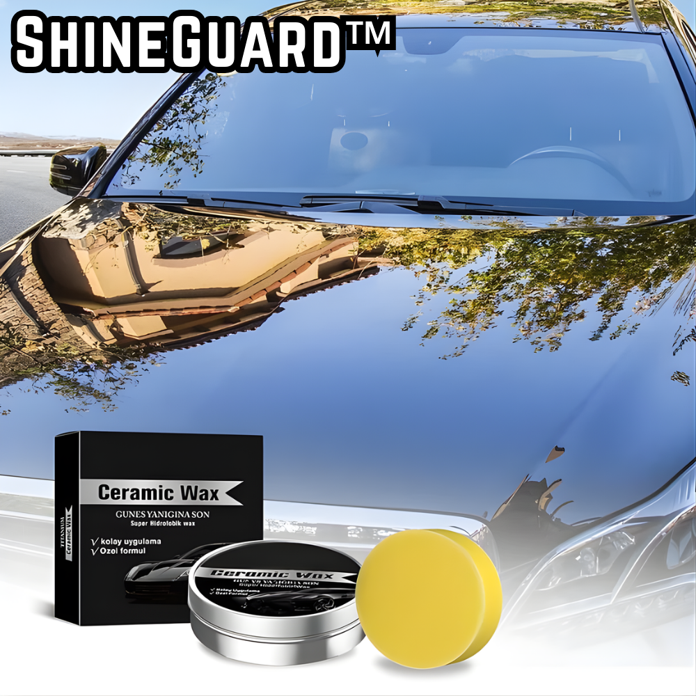 Transform Your Paint into a Shining Masterpiece That Attracts Attention