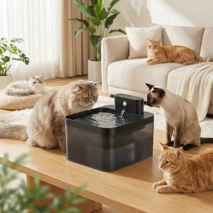 Fresh Water Fountain for Cats – Daily Hydration and Joy