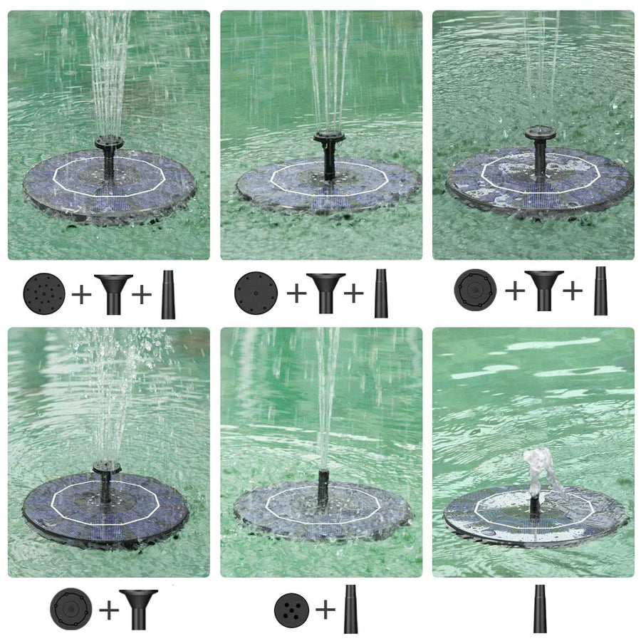 Transform Your Garden into a Lively Oasis of Freshness and Serenity