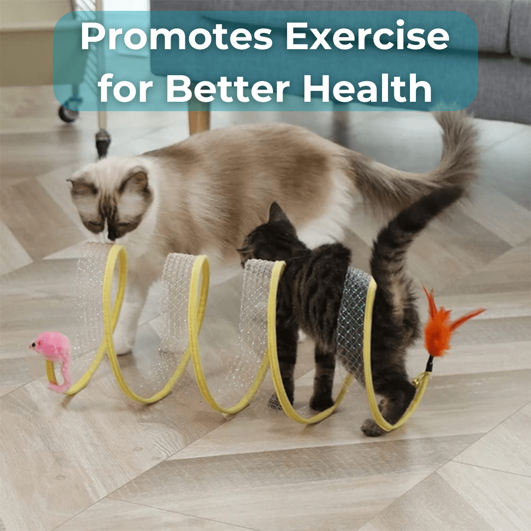 WhiskerWander™ — Ignite Your Cat’s Wild Play and Peaceful Home in Seconds