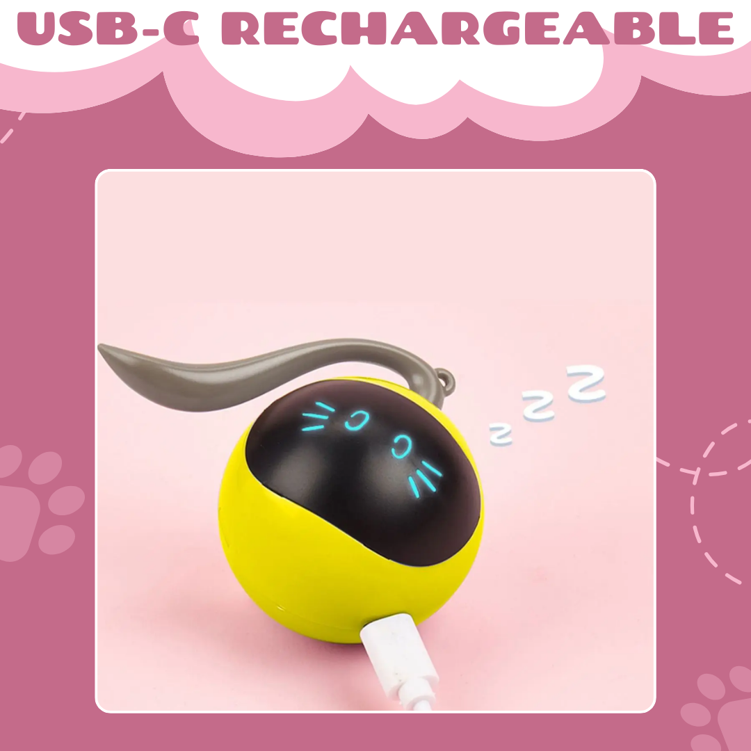 PurrQuest™ — Ignite Your Cat’s Wild Instincts for Endless Thrills and Energy