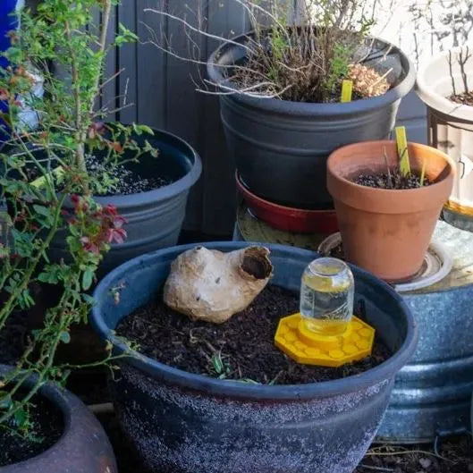 BeeSafeWell Bee Waterer with Safety Features