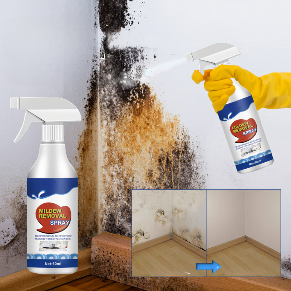 PureShield™ Mold Defense — Erase Mold Fast and Breathe Easy in Your Home