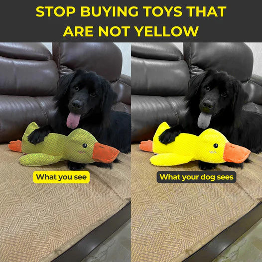 Soft Calming Dog Toy for Comfort and Mental Stimulation