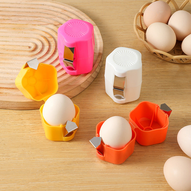Multi-Functional Egg Cooker with Clear Lid