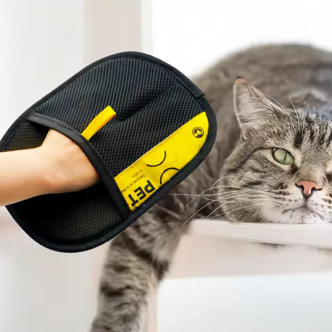 RamoraGlide™ — Transform Grooming Into Your Pet’s Favorite Loving Touch