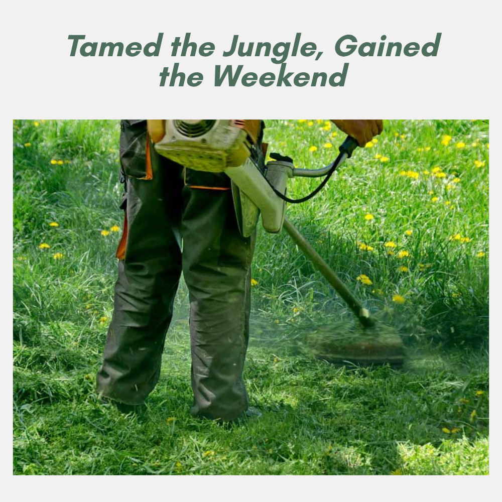 VerdantEase™ — Transform Your Lawn Fast and Leave Neighbors Jealous