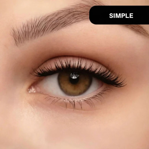 Magnetic Eyelashes for Perfect Lashes in Seconds, No Glue Needed