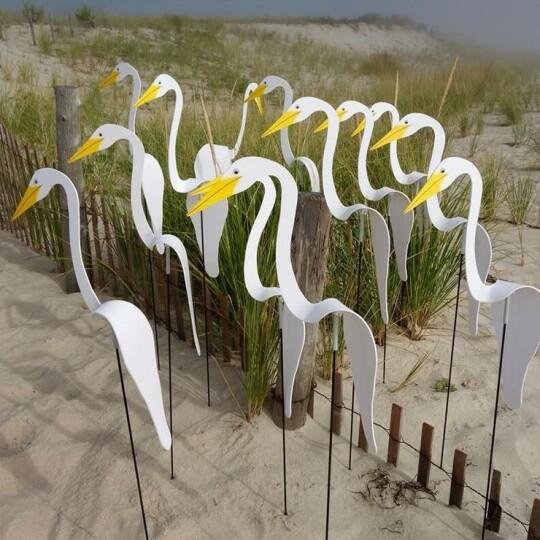 SereniFlight™ — Enchant Your Garden with Hypnotic, Graceful Motion That Charms Every Eye