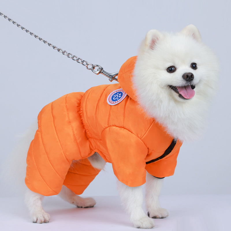 Transform Cold Winter Days into Cozy Comfort Moments for Your Dog