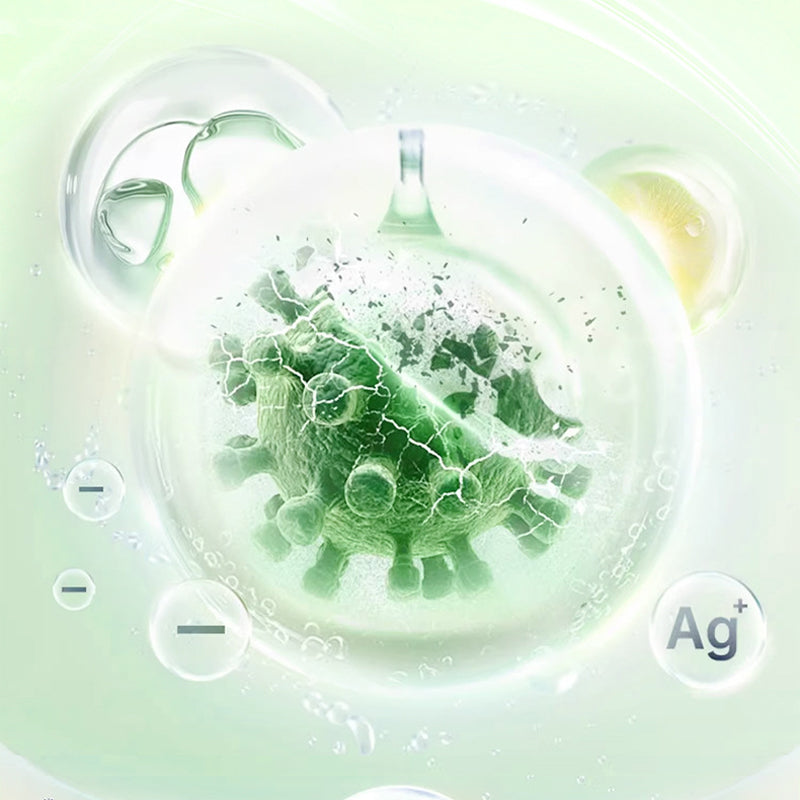 Pure Freshness for Your Home – Transform Your Space into a Relaxing Oasis