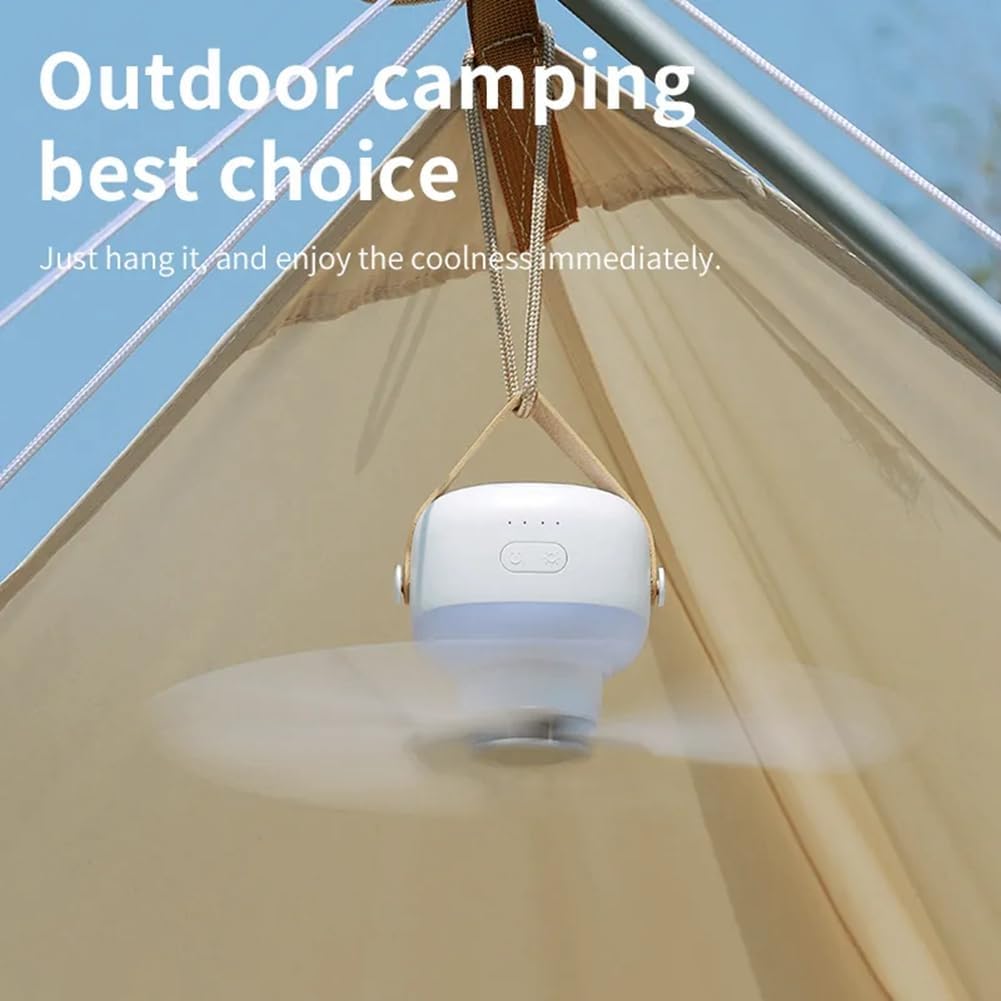 Hanging Fan with LED Light