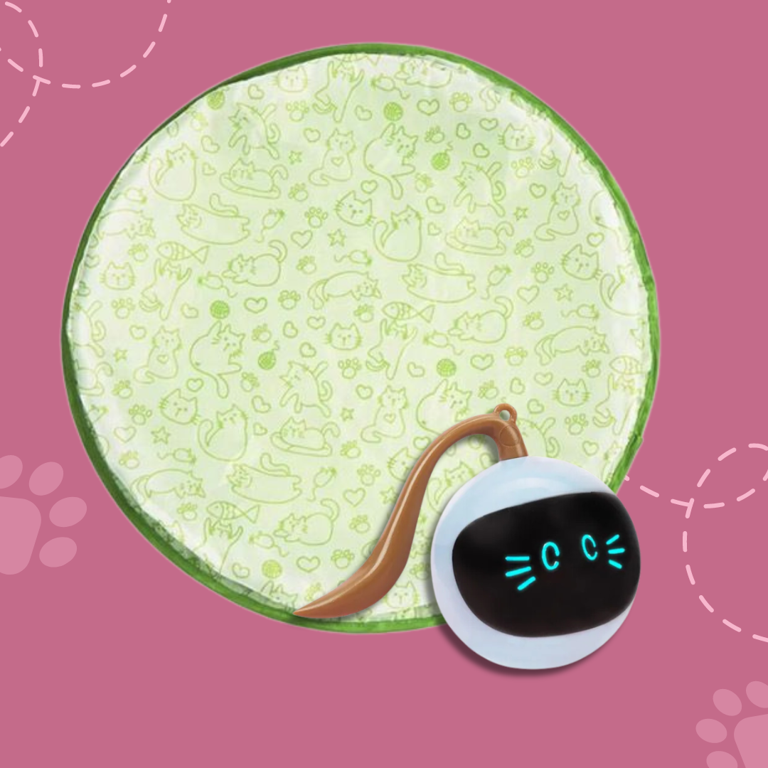 TurboPounce™ — Ignite Your Cat’s Hunter Spirit for Endless Joyful Action