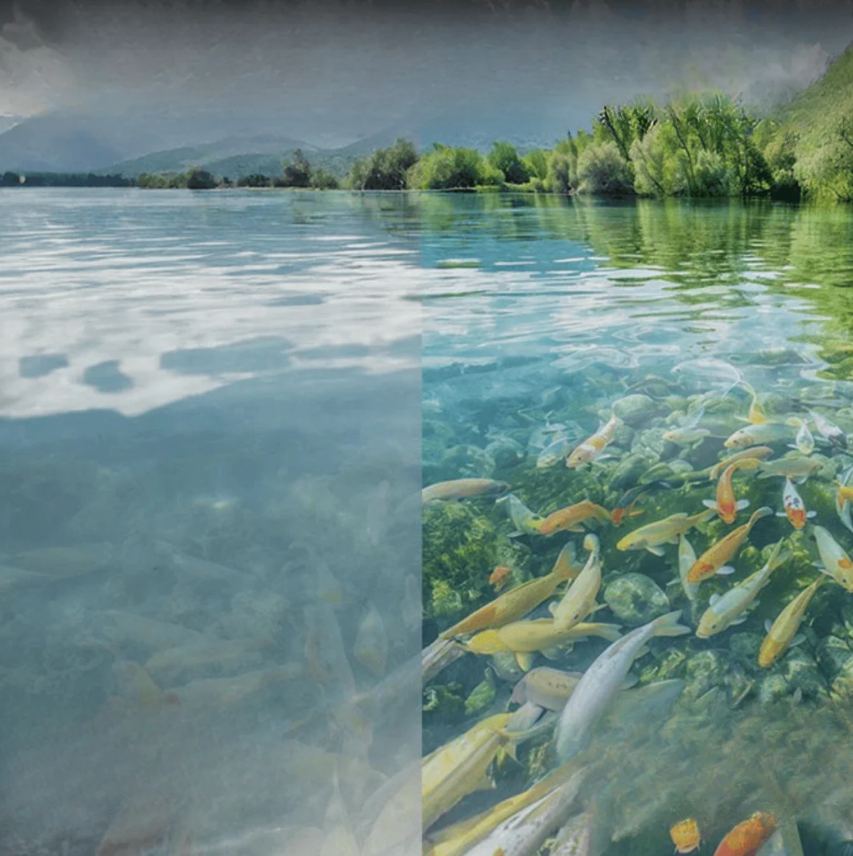Clear Vision for Your Best Fishing Time: See Fish, Feel Success
