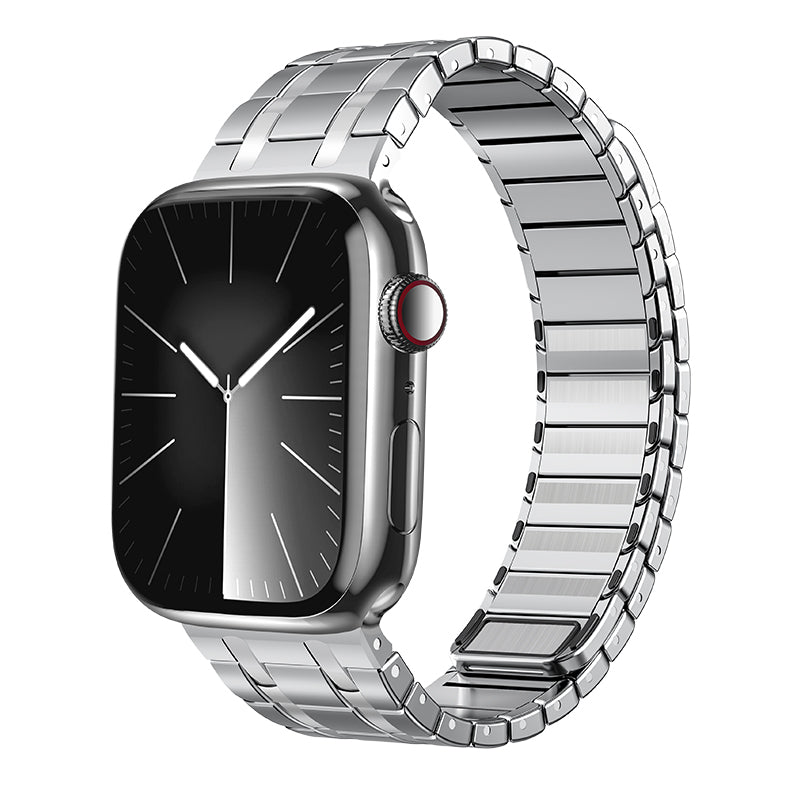 Stainless Steel Magnetic Band with Frosted Finish for Smartwatch