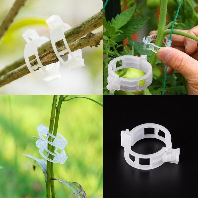 VerduraClips™ — Transform Your Garden with Triple-Speed, Damage-Free Growth