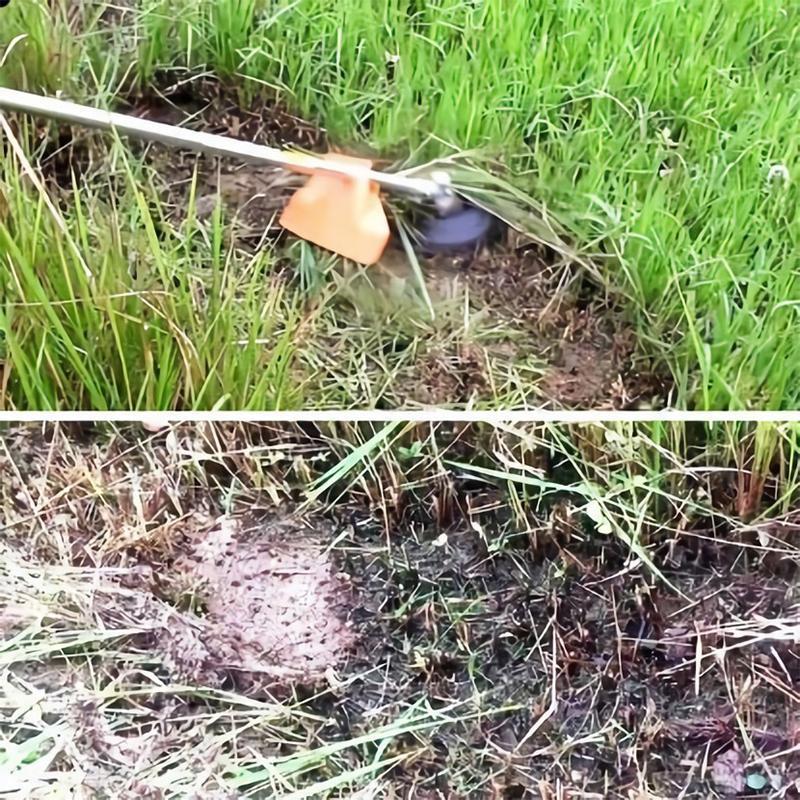 Weed Cutter Head | Gentle Edge Cutting | Damage Protection | TrimPro