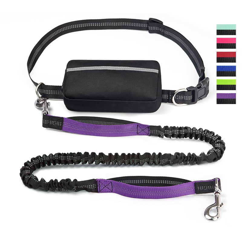 Soft Control Dog Leash for Relaxed Walks Without Jerking